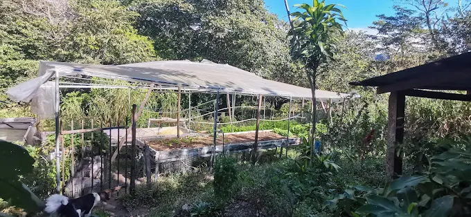Finca Belen