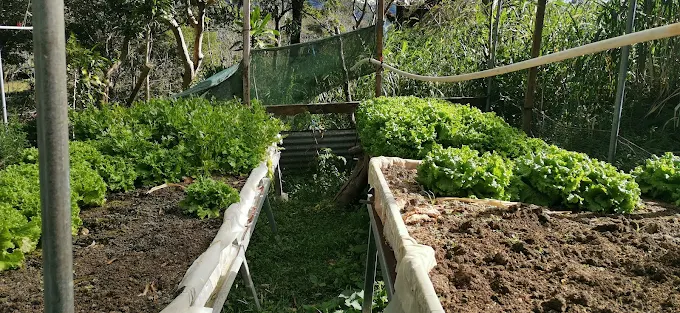 Finca Belen